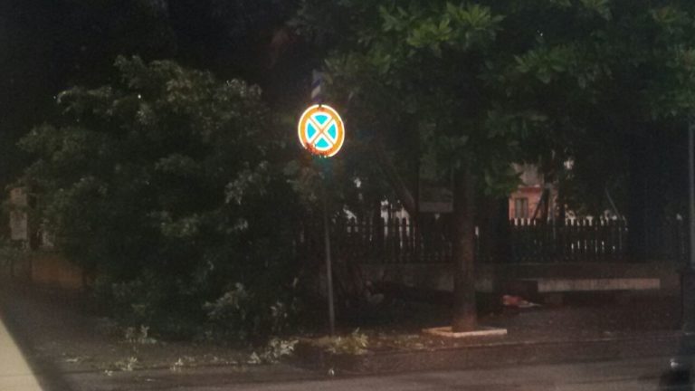 Aversa: cade albero alla villa comunale, esplodono tombini in piazza Vittorio Emanuele