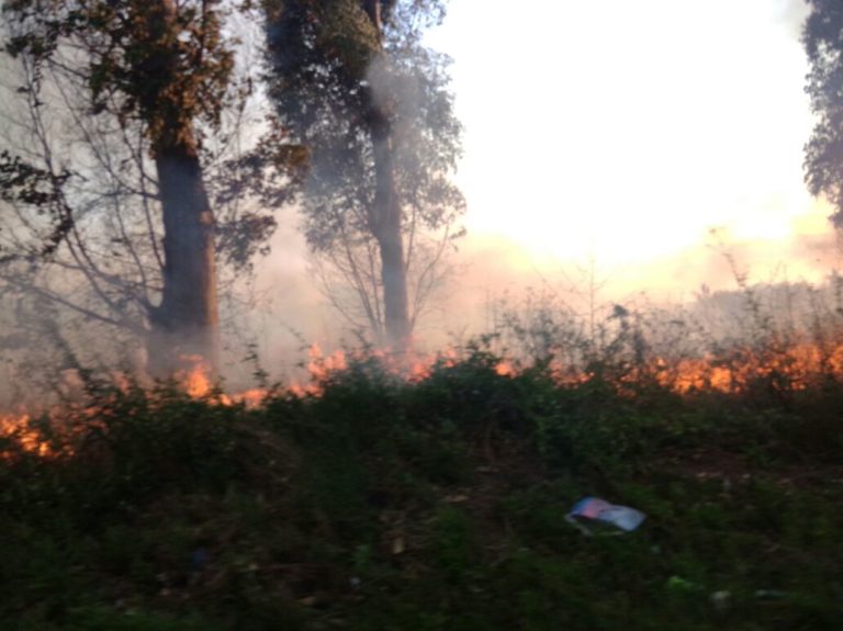 Gigantesco incendio sull’Asse Mediano: gravi disagi per gli automobilisti, fiamme lambiscono la strada FOTO