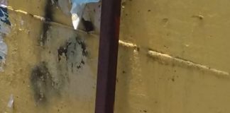 Santa Maria a Vico, cittadini infuriati: topi e scarafaggi dappertutto, miasmi nauseabondi dalle fogne