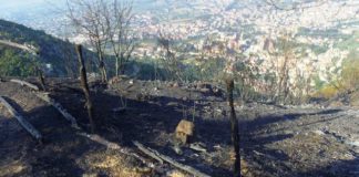 Piedimonte Matese: dopo l’incendio, comunità francescana senza linea telefonica