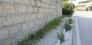 San Marco Evangelista, il Pd denuncia: cimitero nel degrado