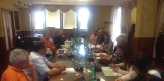 Crisi Elital, audizione in Regione. D’Amelio: grave assenza proprietà