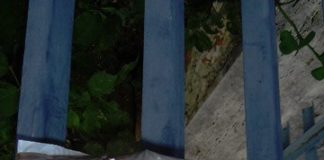 Matese: la differenziata al 53%, obiettivo 70%