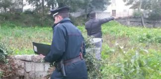 Bonito: cadavere trovato in un pozzo, aperta inchiesta