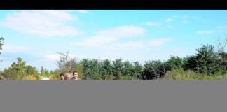 Servizio di vigilanza ambientale del Wwf nell’agro aversano: segnalate discariche abusive