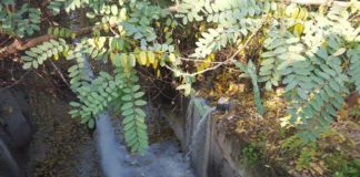 Scarichi del caseificio nel canale Arnone, scatta il blitz di carabinieri e Arpac