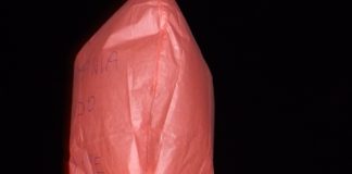 Alife: spicca il volo la lanterna della pace