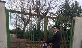 San Tammaro: area comunale trasformata in discarica, scatta il sequestro