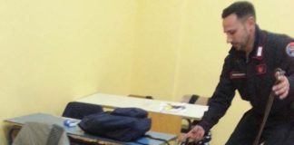 Caserta: controlli antidroga negli istituti scolastici, in azione le unità cinofile