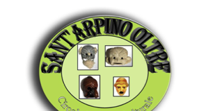 Elezioni comunali: campagna d’ascolto del circolo politico-culturale “Sant’Arpino Oltre”