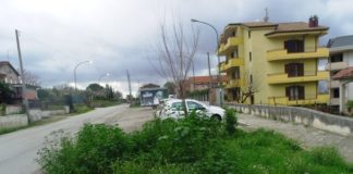 Piedimonte Matese: scaduto l’appalto per la manutenzione del verde