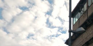 Aversa, Pd e Gd contro potatura selvaggia in via Saporito