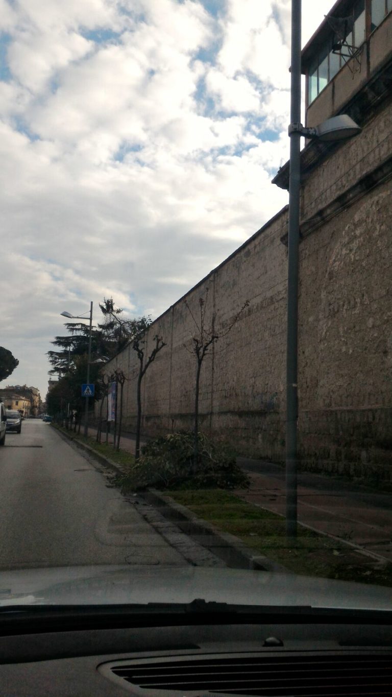 Aversa, Pd e Gd contro potatura selvaggia in via Saporito