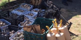 Maddaloni: 17 kg di fuochi in cantina, scatta denuncia