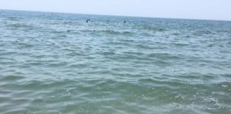 Castel Volturno, mare sporco: Sel chiede chiarezza all’Arpac