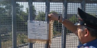 Serino: moria di pesci, torrente inquinato. Sei denunciati