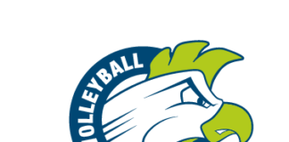 Nuovo logo per la Volleyball Aversa
