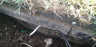 FOTO – Caserta, vandali in azione allo stadio Pinto: tranciati cavi dell’impianto di irrigazione del campo