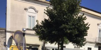 Aversa, proseguono gli interventi di deblattizzazione