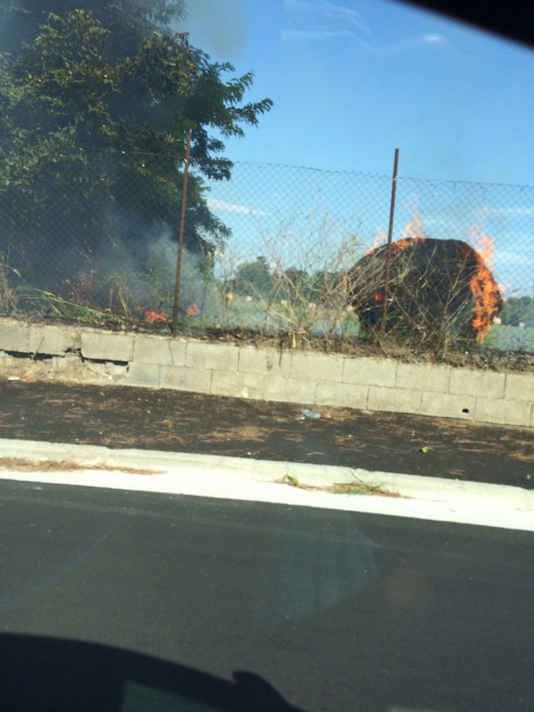 Aversa, scoppia incendio a due passi dal cimitero LA FOTO
