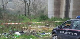 26 cani in una villetta trasformata in canile, scatta denuncia per 55enne