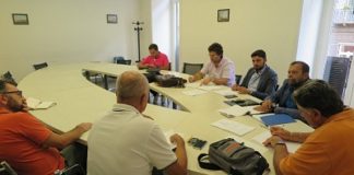 Napoli, commissione ambiente discute dei pini di via Gemito