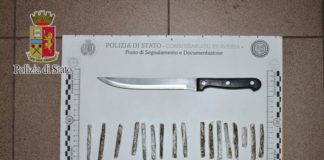 San Cipriano: trovato in casa con piante e dosi di marijuana, arrestato