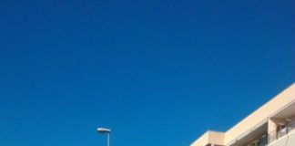 Aversa, Golia: basta potature senza criterio