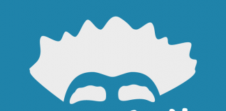 La Fondazione Mario Diana premia la creatività, ecco la maratona “AlberThon”: 10mila euro a chi realizza l’app migliore su università e formazione