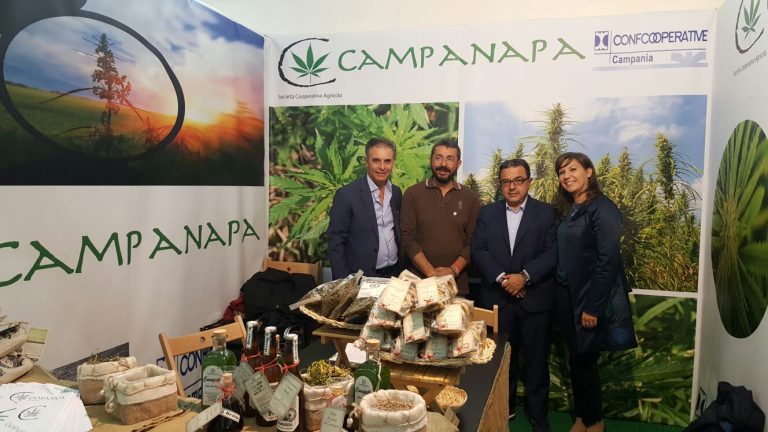 Canapa in mostra, presenti anche le eccellenze cooperative