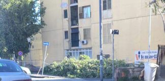 Aversa: vento abbatte albero in viale Europa, danni anche in altre zone