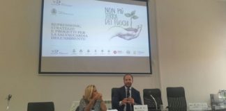 Terra dei fuochi, Zinzi: zero risorse da governo e regione