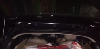 Rotaract Capua Antica e Nova: un successo la colletta alimentare a favore degli amici a 4 zampe abbandonati