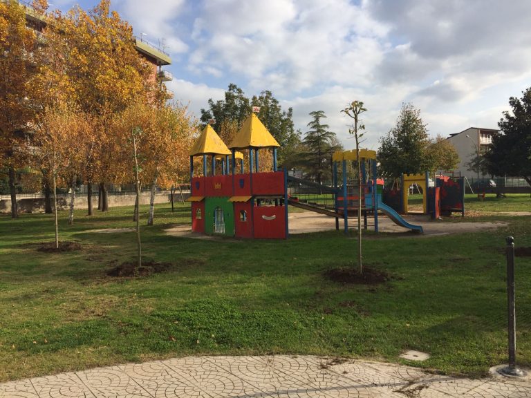 Santa Maria Capua Vetere: piantati 45 nuovi alberi
