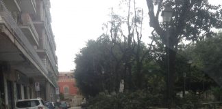 FOTO – Aversa: potatura in villa, gli sfalci abbandonati invadono la carreggiata