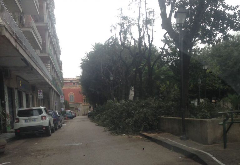FOTO – Aversa: potatura in villa, gli sfalci abbandonati invadono la carreggiata