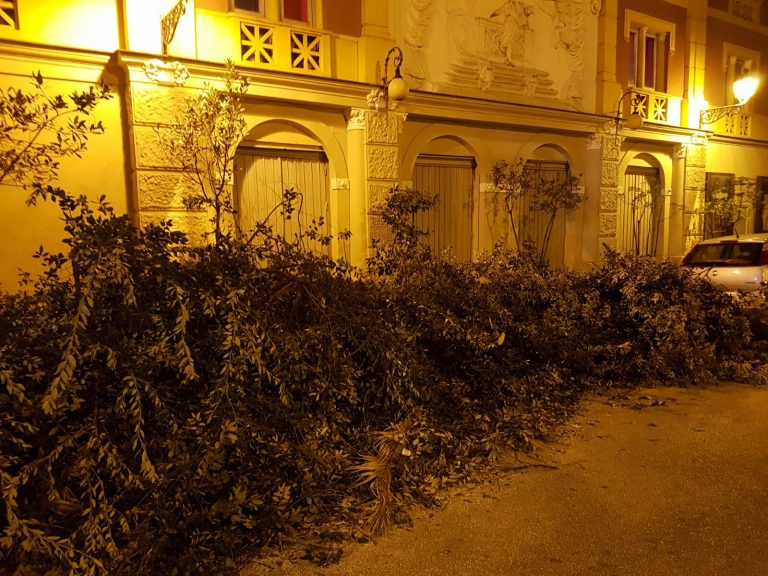 FOTO – Aversa, sfalci di potatura abbandonati davanti le uscite di sicurezza del Cimarosa