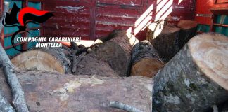 Calabritto: sorpresi ad abbattere alberi, denucniati