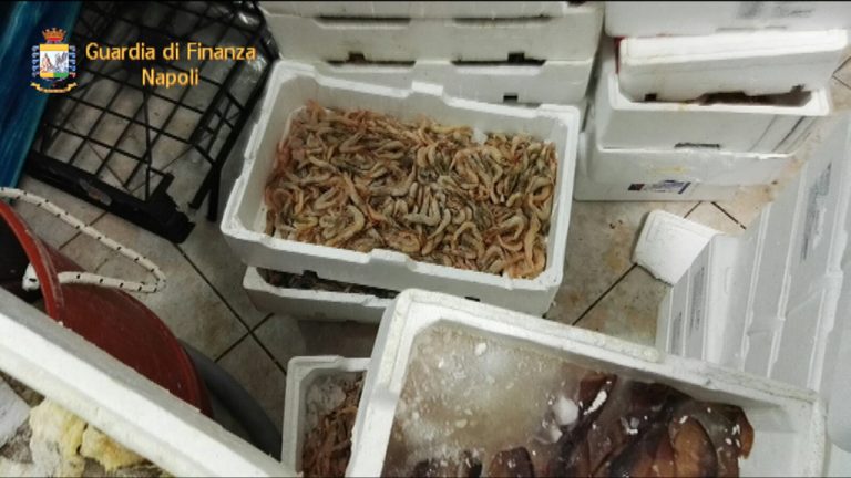 Giugliano: sequestrato pesce in pessimo stato di conservazione
