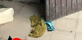 Avellino: bomba a mano in casa, arrestato pregiudicato 50enne