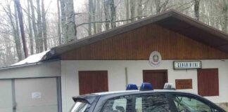 Ruba legna, denunciato 30enne