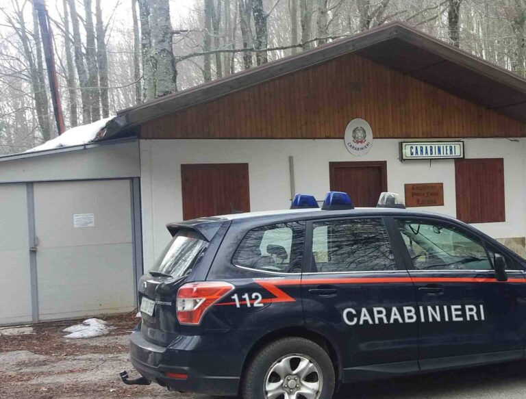 Ruba legna, denunciato 30enne