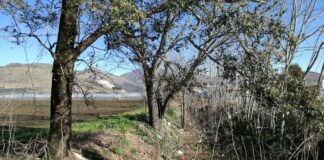 Ambiente, M5S: Giunta intervenga sul canale Mofito di Acerra