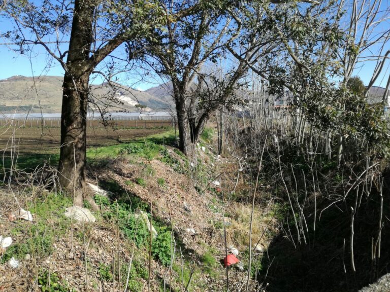 Ambiente, M5S: Giunta intervenga sul canale Mofito di Acerra