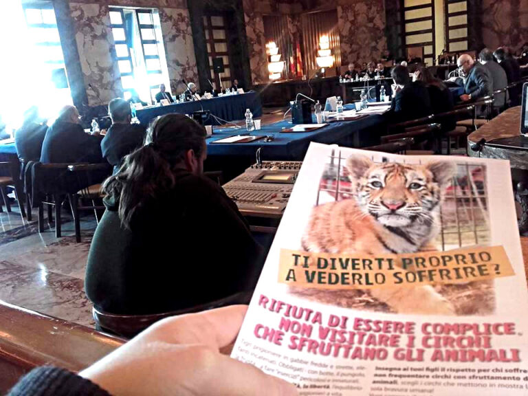 Salerno: stop ai circhi con animali