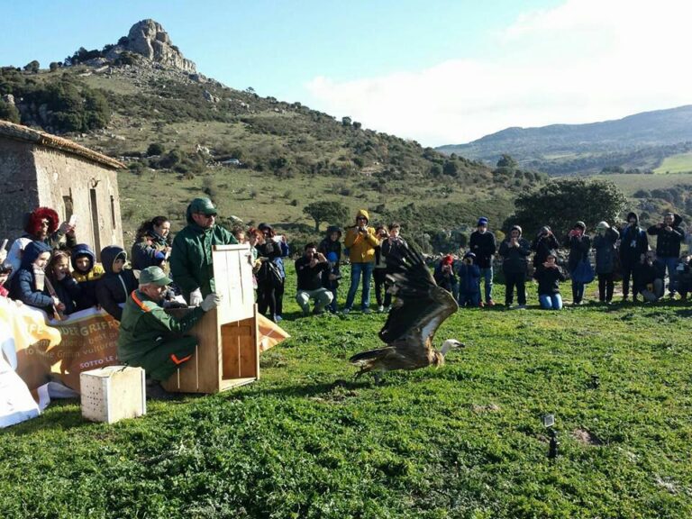 Casapulla: ok a protocollo d’intesa per progetto ‘Bio.for.Polis’