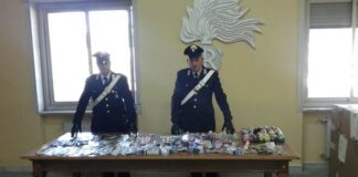 Caserta, blitz contro gli abusivi alla Reggia: sequestri