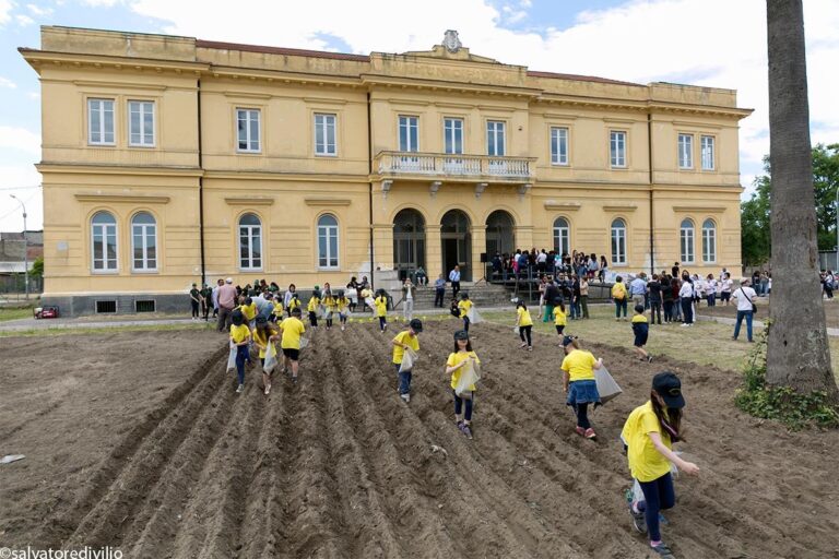 Sant’Arpino: semina della canapa all’ex municipio di Atella