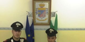 Telese Terme: spacciava marjuana e coltivava piante di cannabis