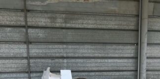 Roccaromana: sequestrato distributore gasolio agricolo